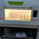 Multitron Incubation Shaker_光照摇床培养箱