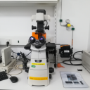 Inverted Fluorescence Microscope_倒置荧光显微镜