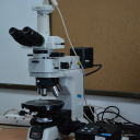 光学显微镜 Optical Microscope 
