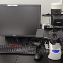 Inverted fluorescence microscope_倒置荧光显微镜