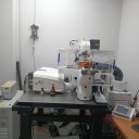 Confocal Microscope_共聚焦显微镜