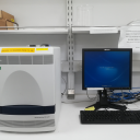 Real-Time PCR System_实时荧光定量PCR仪